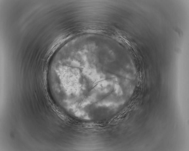 X0000112970098200909241335