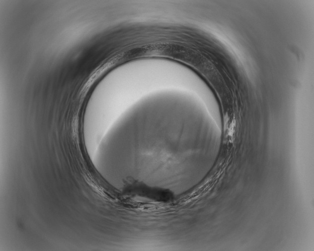 X0000112970099200909241335