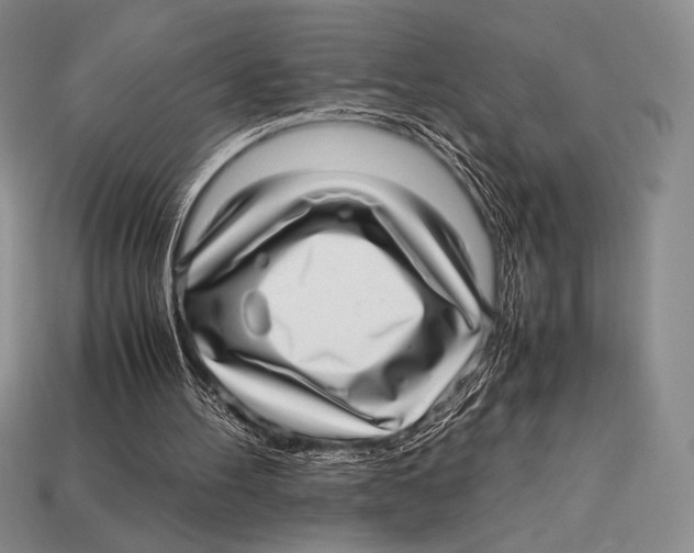 X0000112970100200909241335