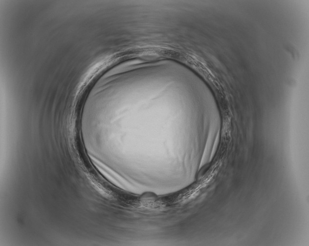 X0000112970101200909241335
