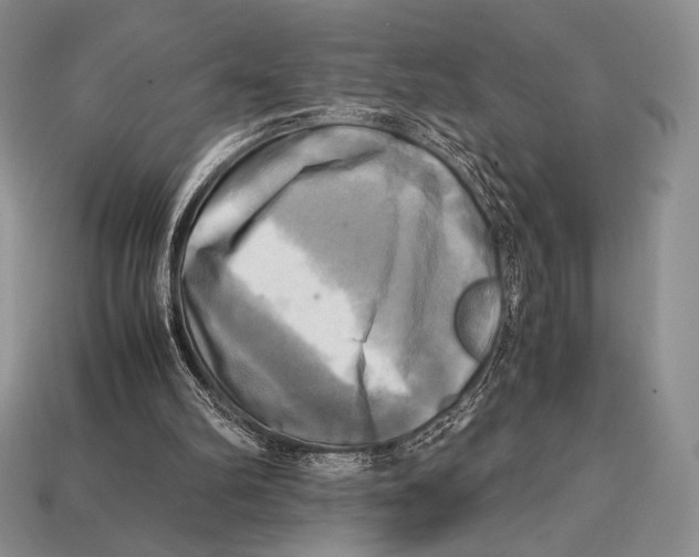 X0000112970102200909241335