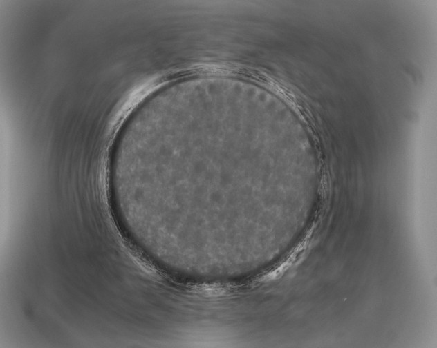 X0000112970103200909241334