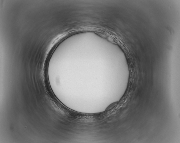 X0000112970104200909241334