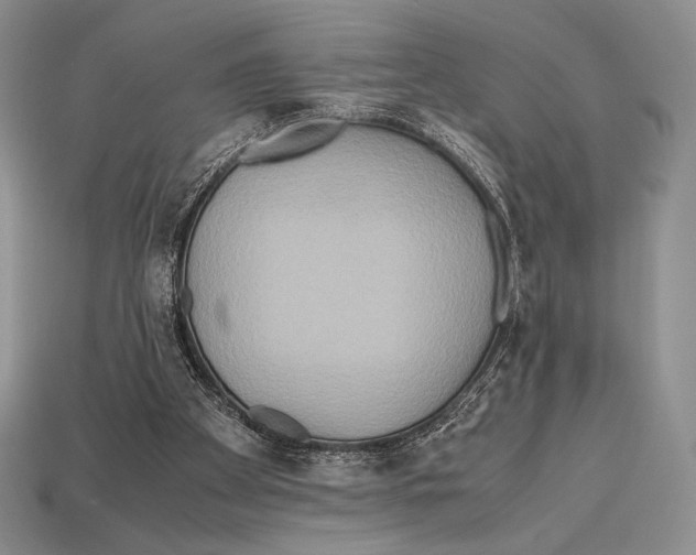 X0000112970105200909241334