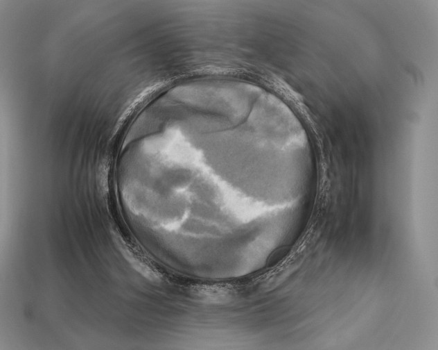 X0000112970106200909241334