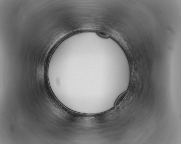 X0000112970108200909241334