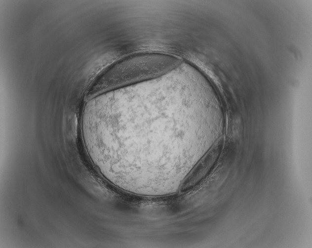 X0000112970109200909241334