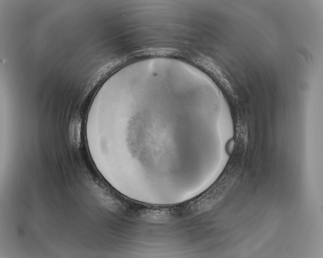 X0000112970110200909241334