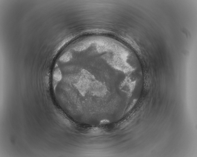 X0000112970111200909241334