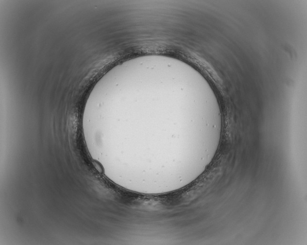 X0000112970113200909241334