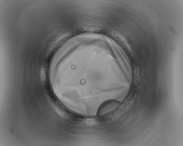 X0000112970114200909241334