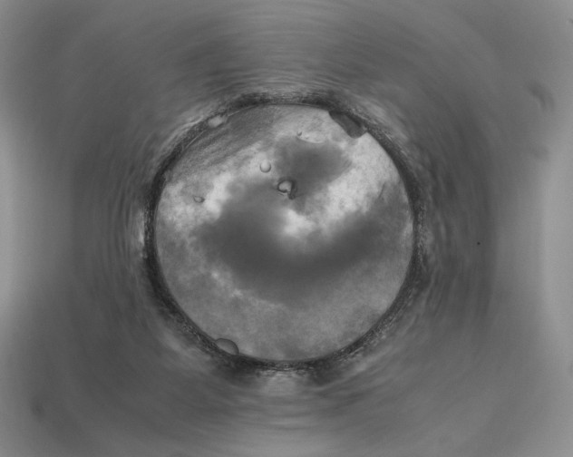 X0000112970115200909241334