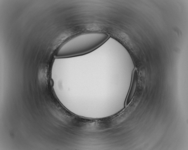 X0000112970116200909241334