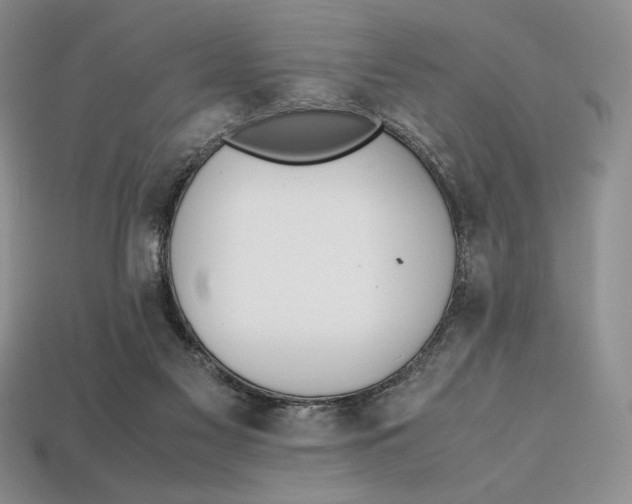 X0000112970117200909241334