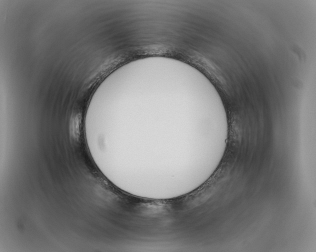 X0000112970118200909241334
