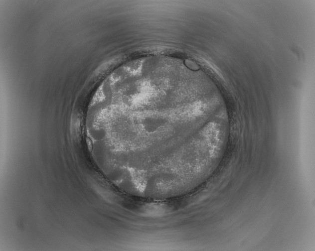 X0000112970119200909241334