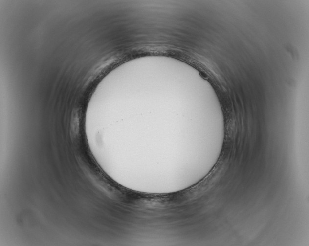 X0000112970120200909241334