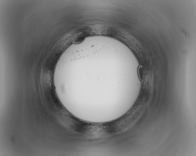 X0000112970121200909241334