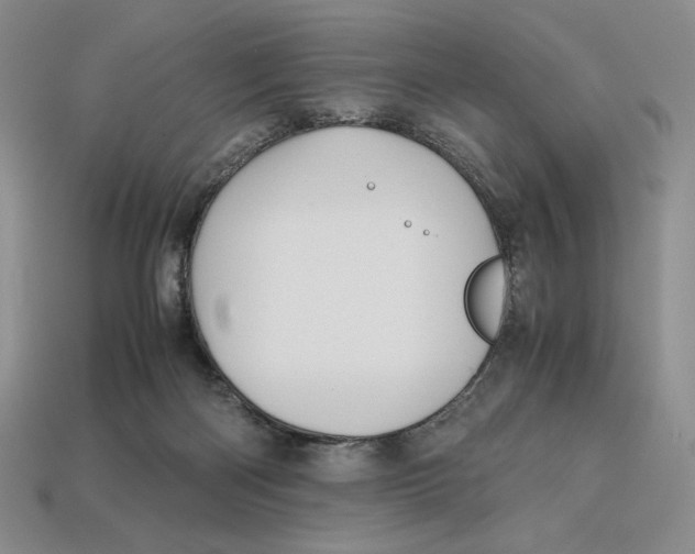 X0000112970122200909241334