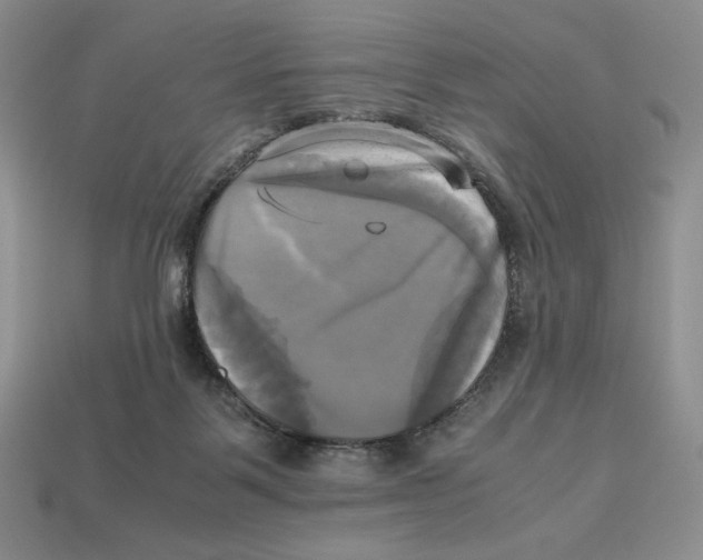X0000112970123200909241334