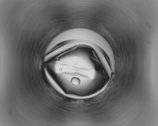 X0000112970124200909241334