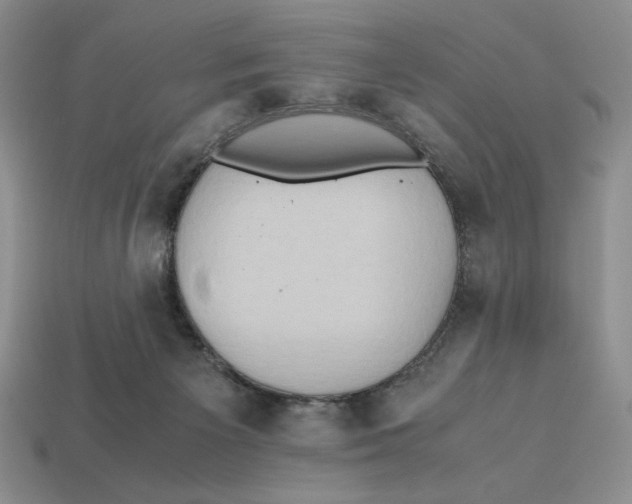 X0000112970125200909241334