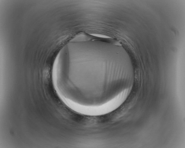 X0000112970127200909241334