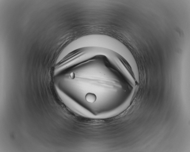 X0000112970128200909241334
