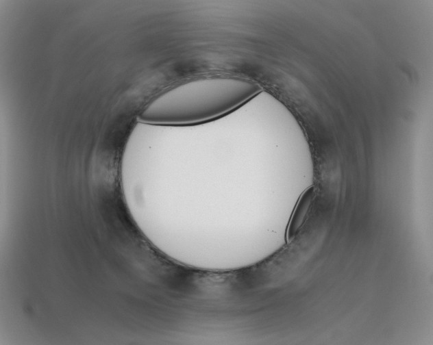 X0000112970129200909241334