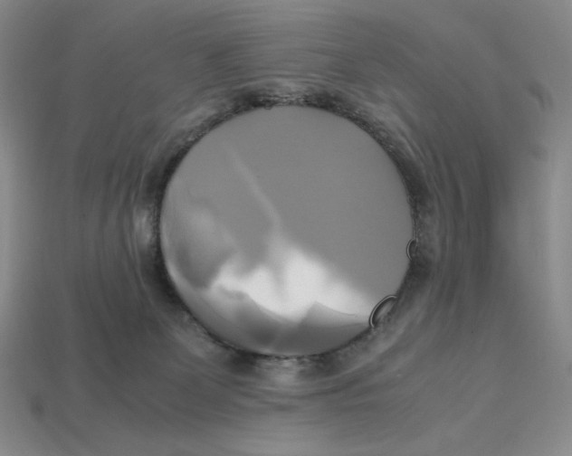 X0000112970131200909241334
