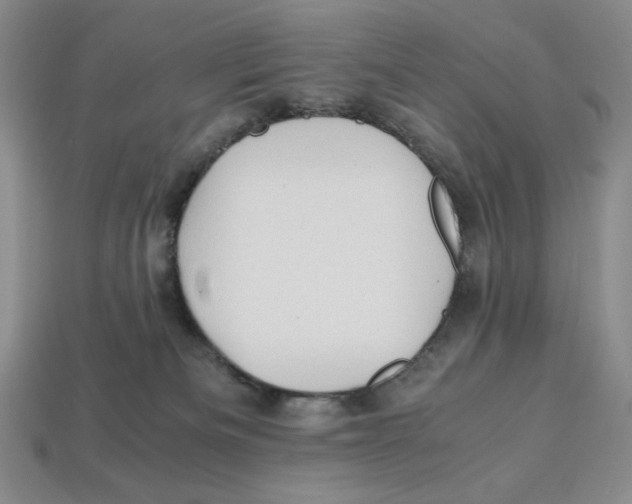 X0000112970133200909241334