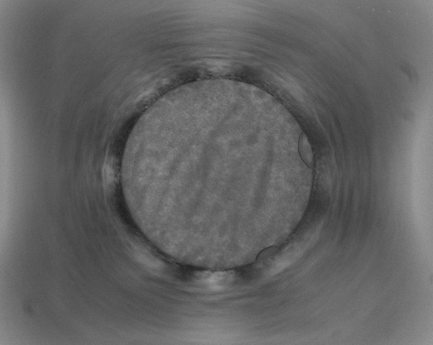X0000112970135200909241334