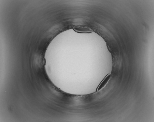 X0000112970136200909241334
