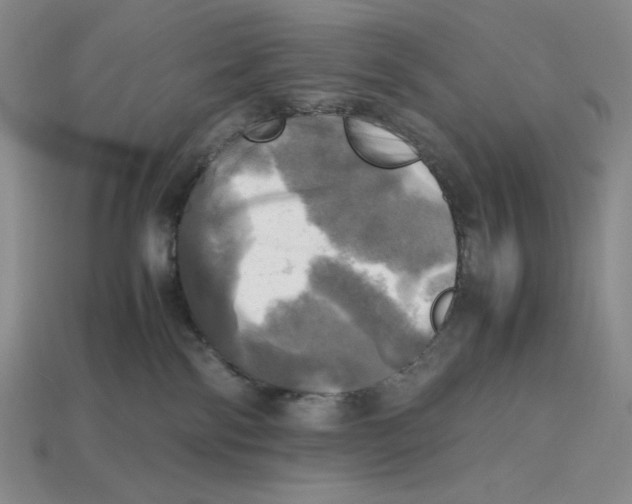 X0000112970138200909241334