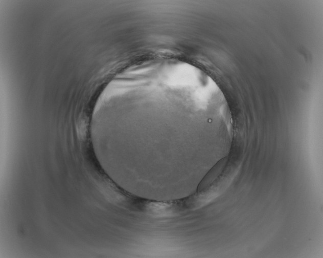 X0000112970139200909241334