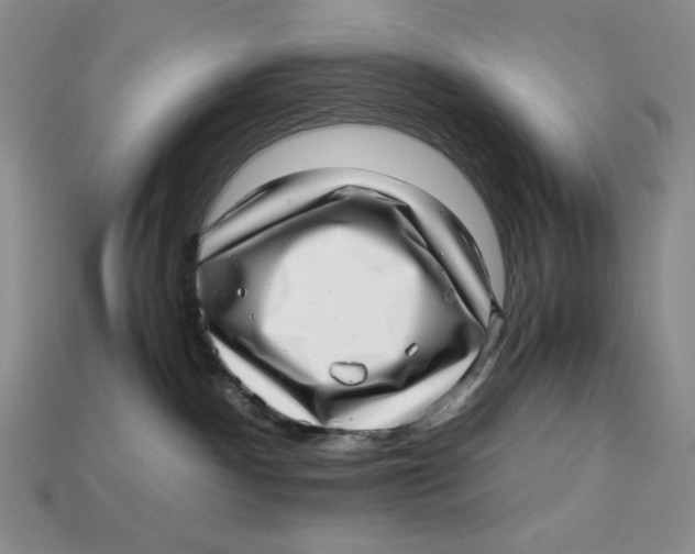 X0000112970140200909241334