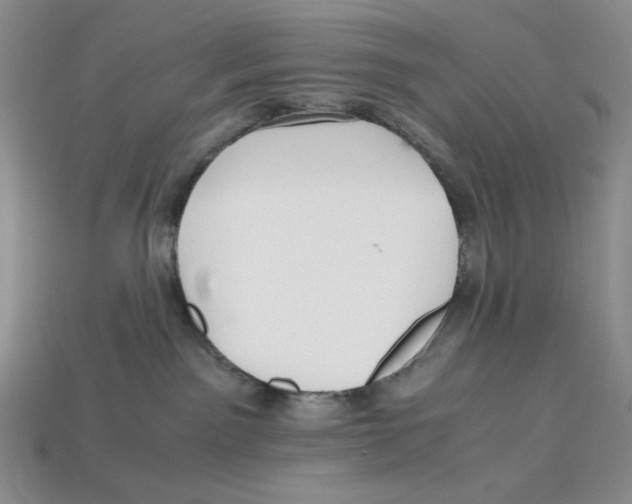 X0000112970141200909241334