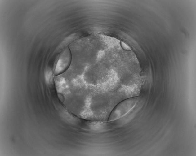 X0000112970142200909241334