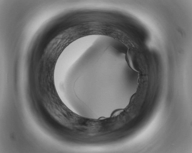 X0000112970143200909241334