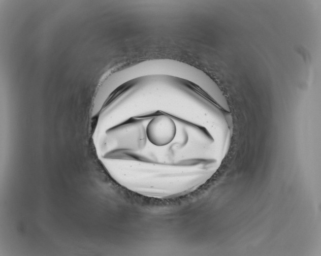 X0000112970144200909241334