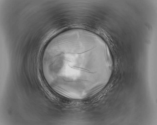 X0000112970145200909241333