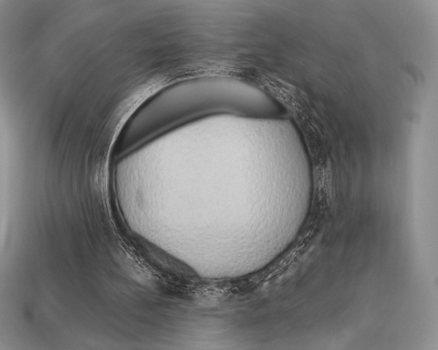 X0000112970148200909241333