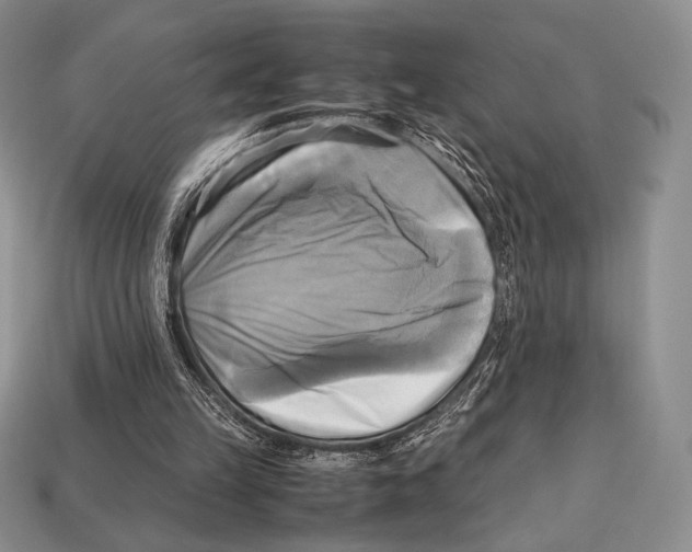 X0000112970149200909241333