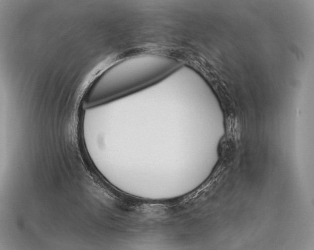 X0000112970150200909241333