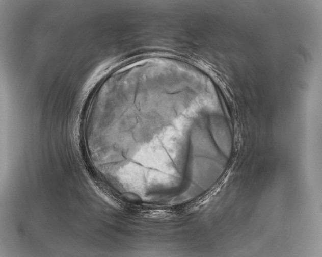 X0000112970151200909241333