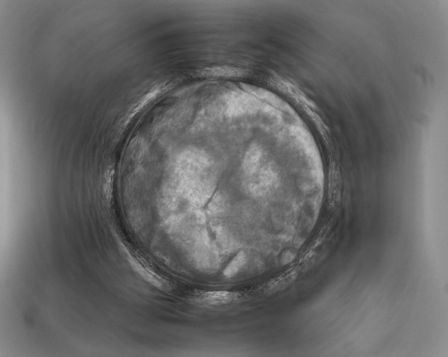 X0000112970153200909241333