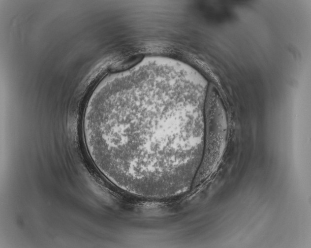 X0000112970154200909241333