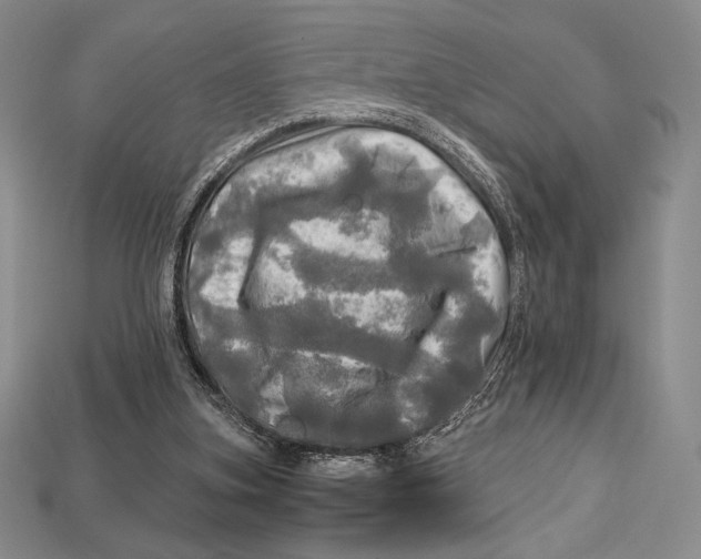 X0000112970155200909241333