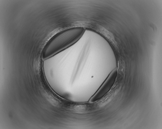 X0000112970156200909241333