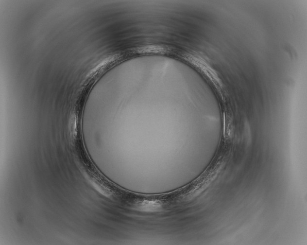 X0000112970157200909241334